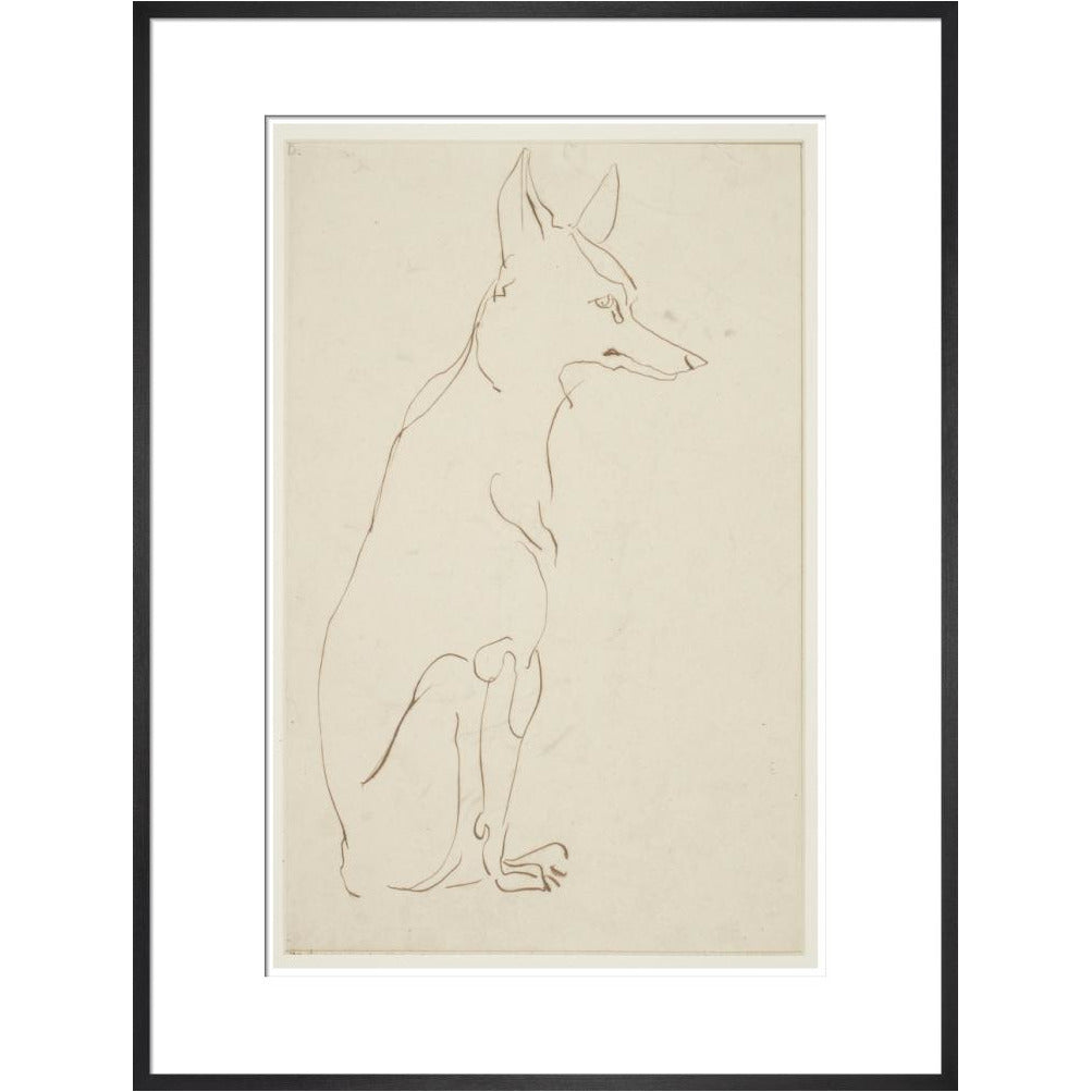Fox - Art print
