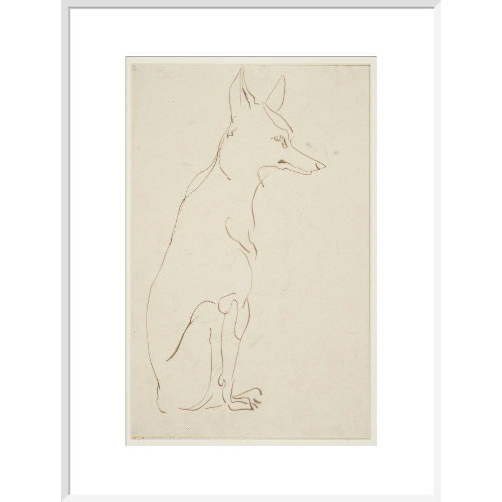 Fox - Art print