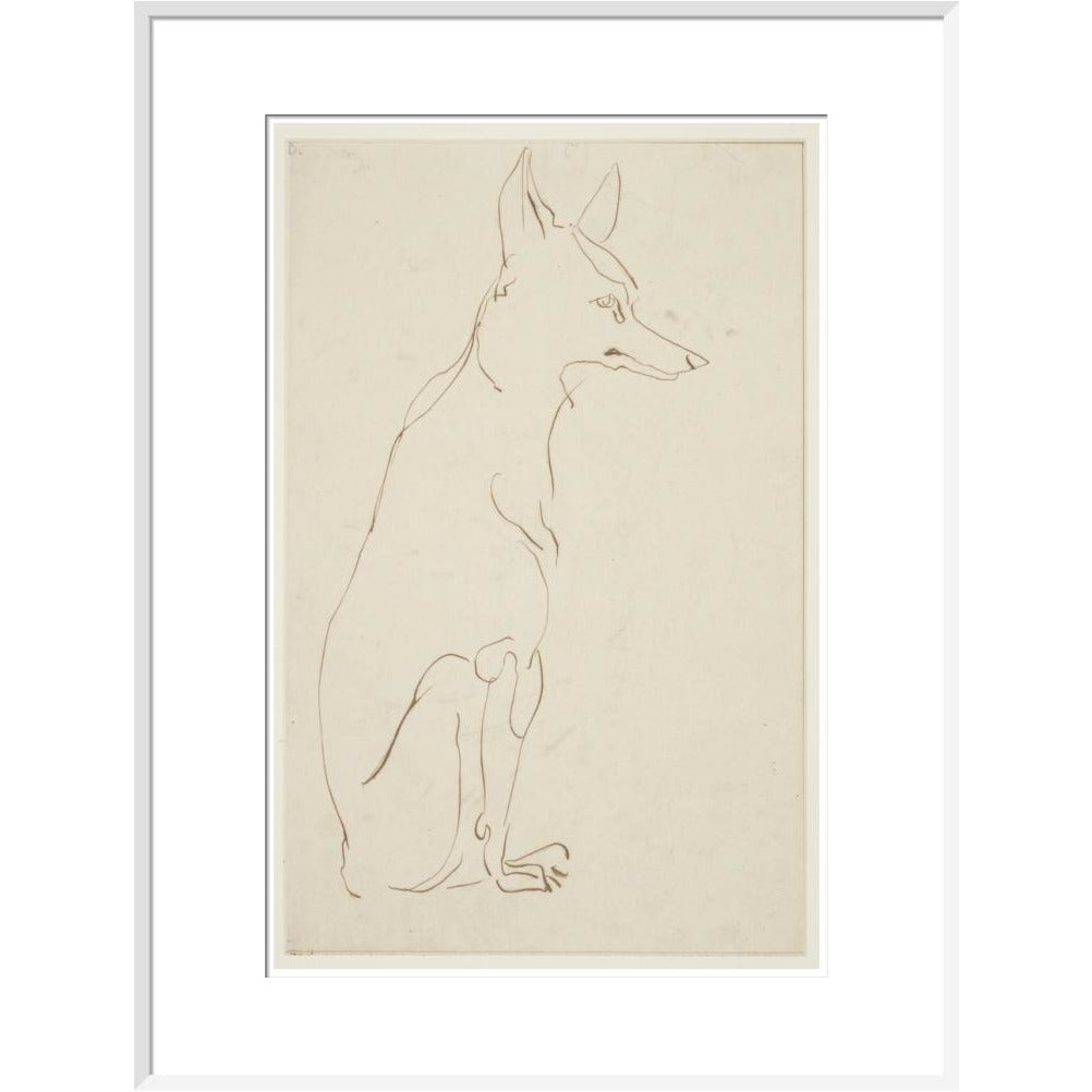 Fox - Art print