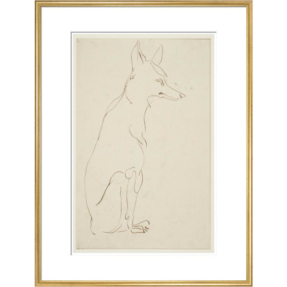 Fox - Art print