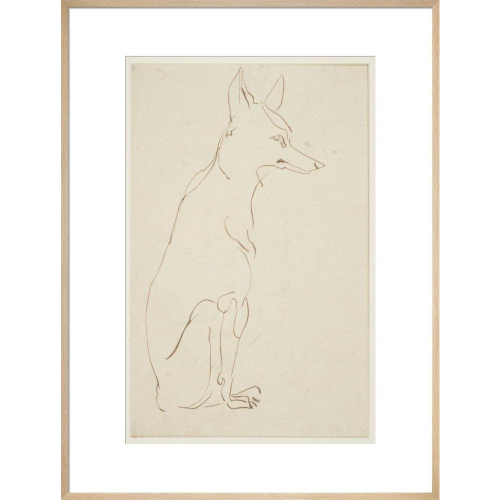Fox - Art print