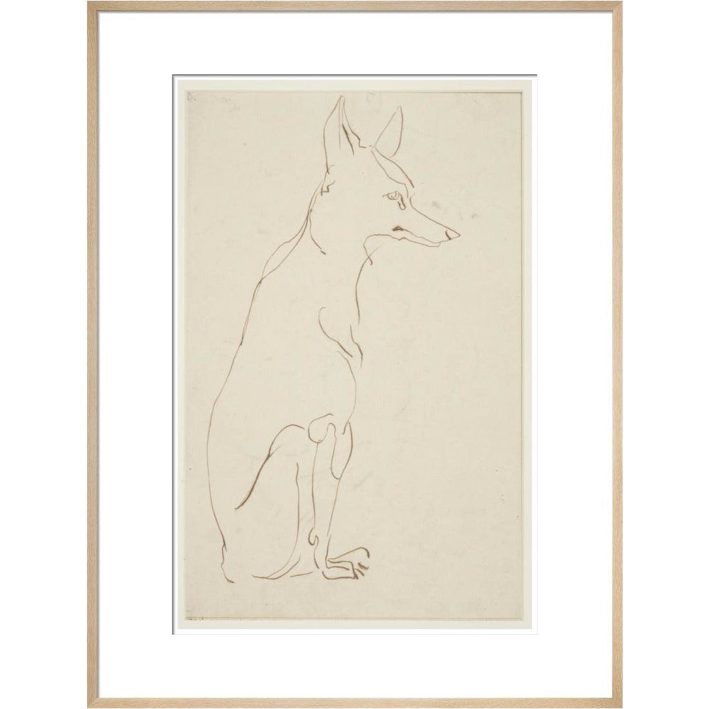 Fox - Art print
