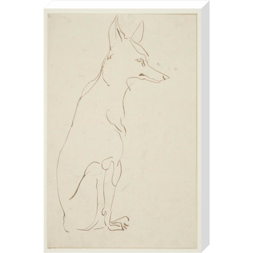 Fox - Art print