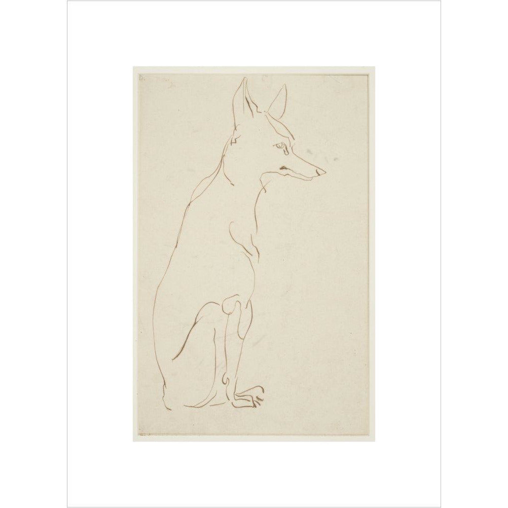 Fox - Art print