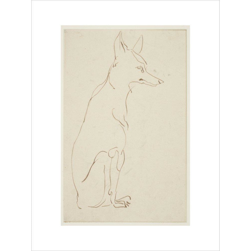 Fox - Art print