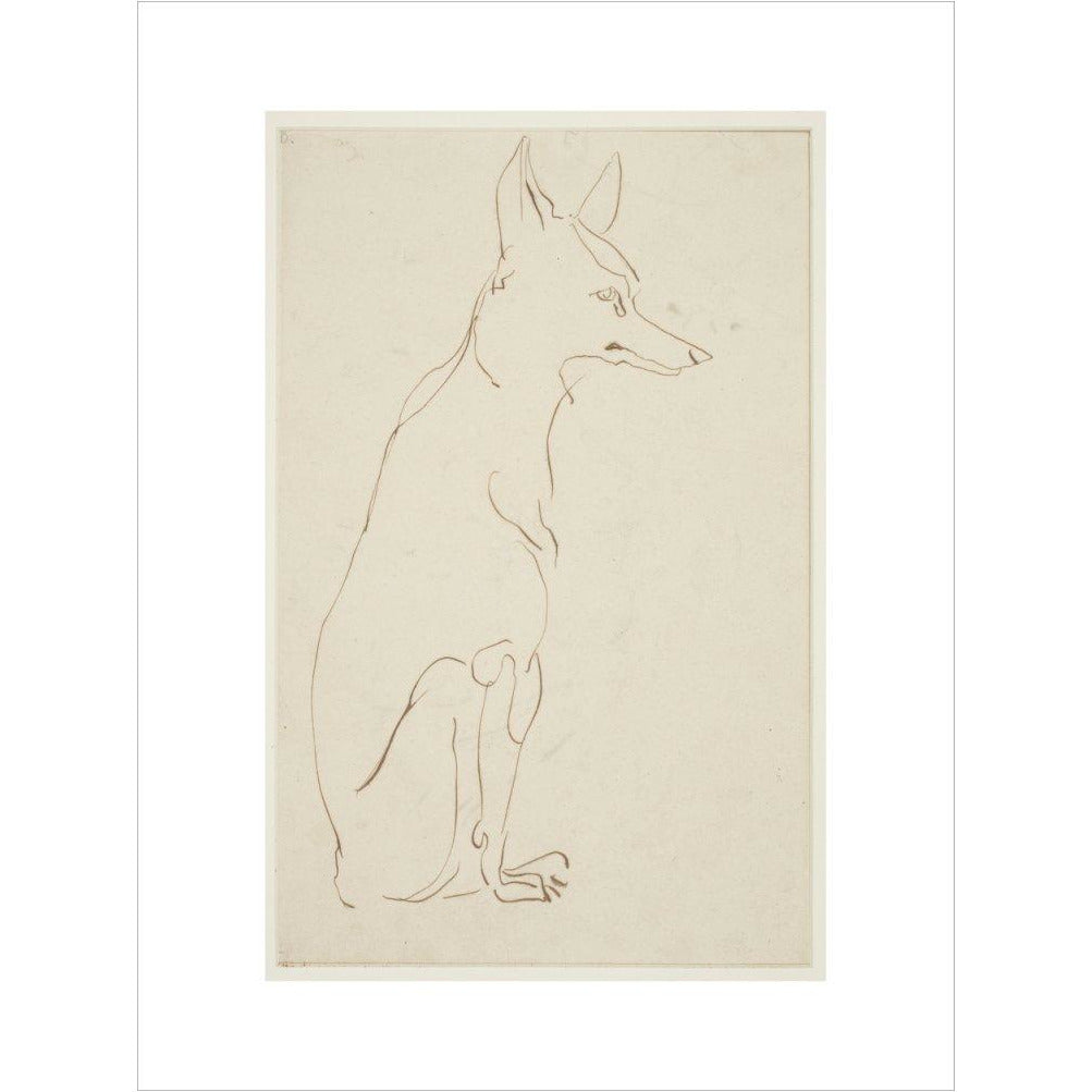 Fox - Art print