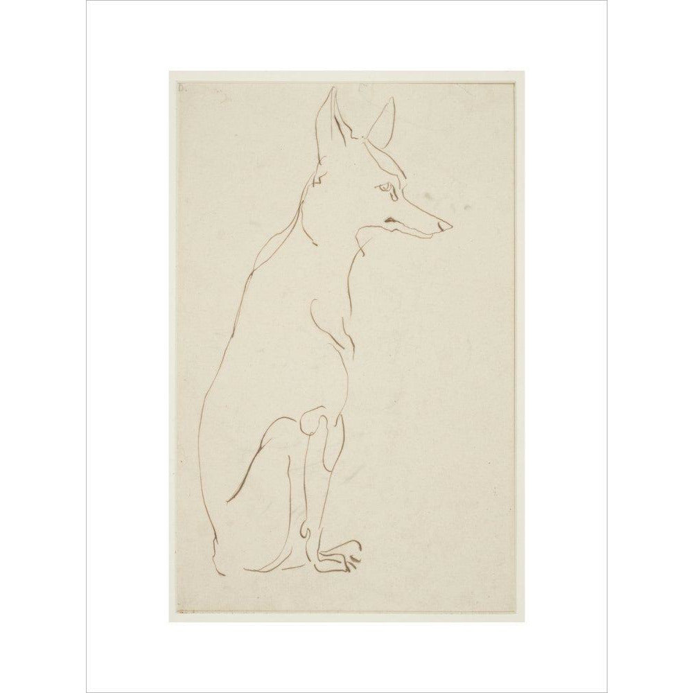 Fox - Art print