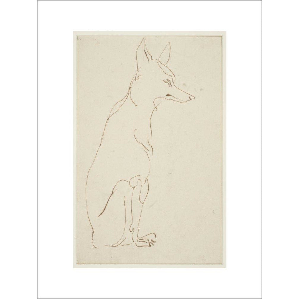 Fox - Art print