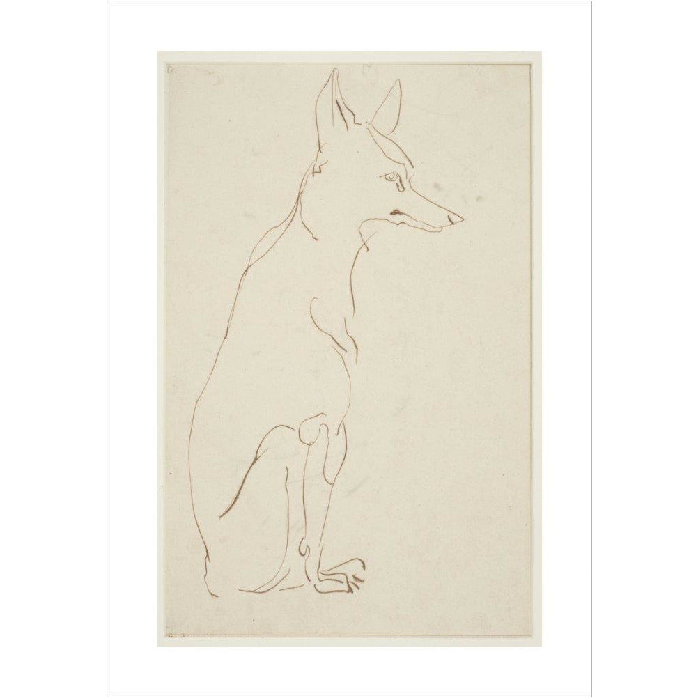 Fox - Art print