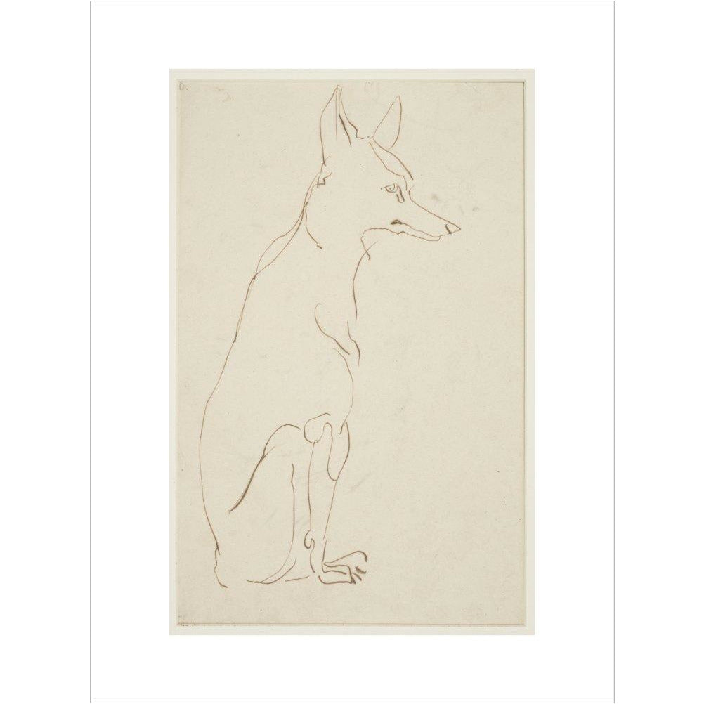 Fox - Art print