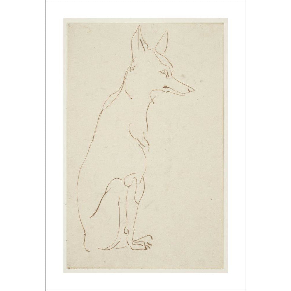 Fox - Art print