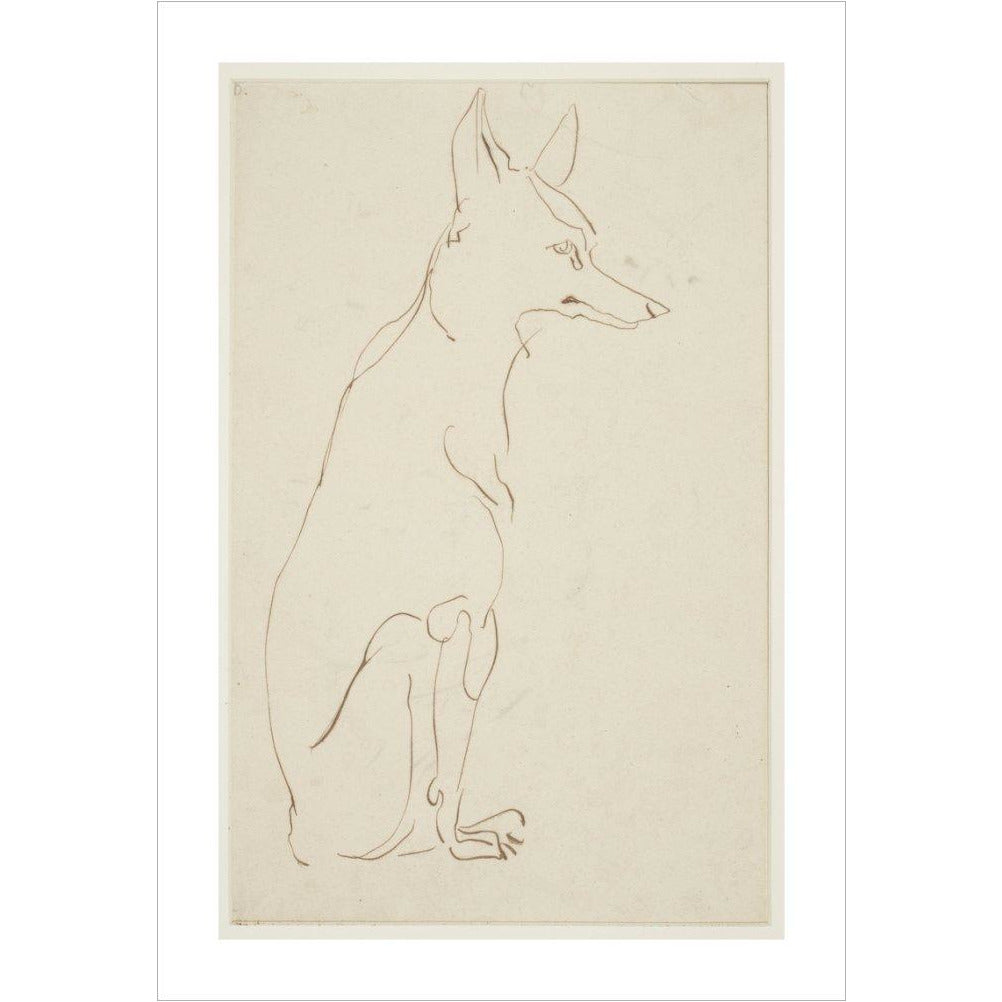 Fox - Art print