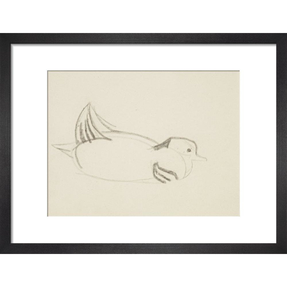 Duck - Art print