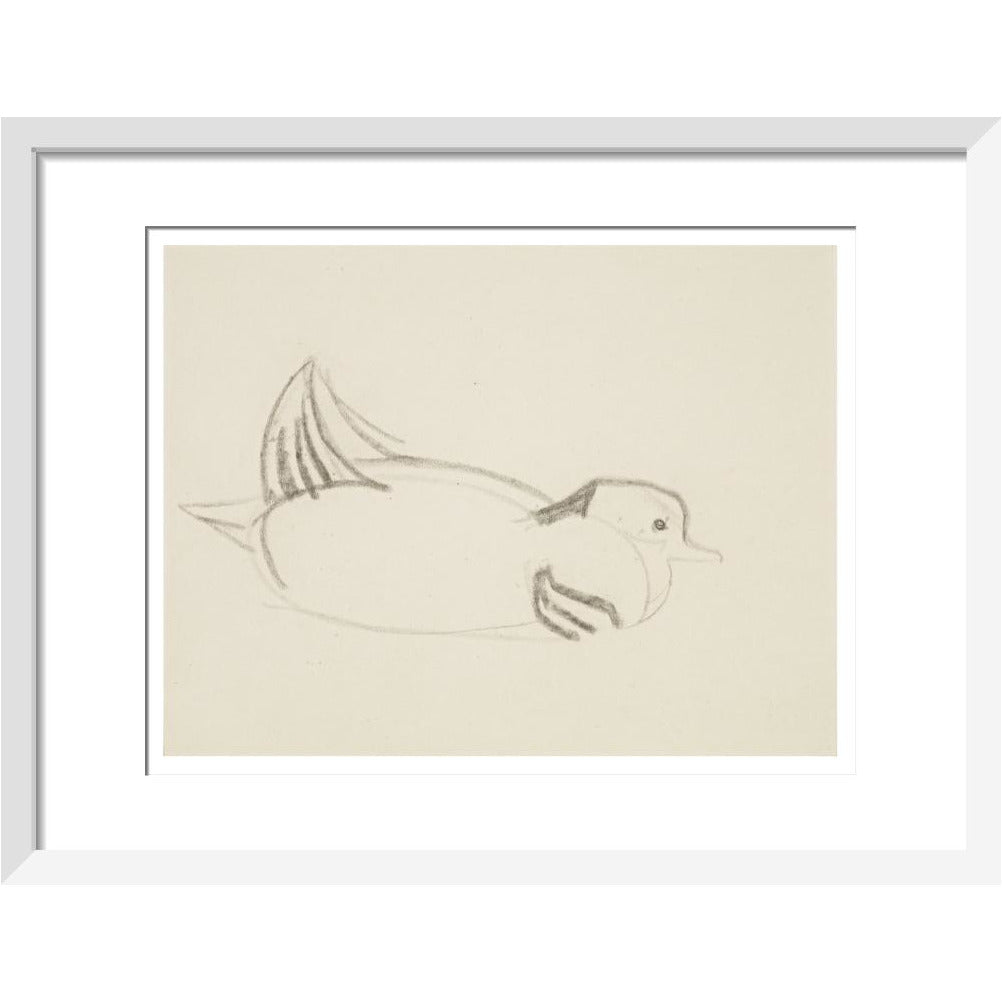 Duck - Art print