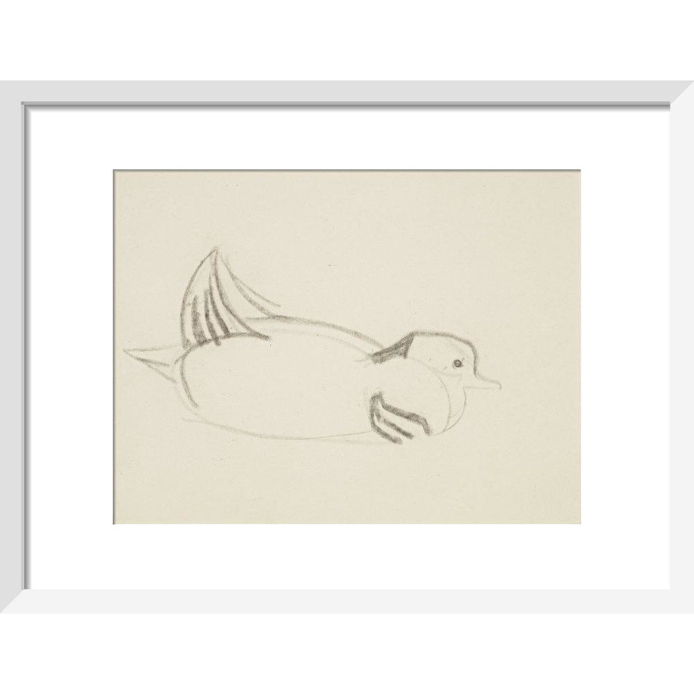 Duck - Art print