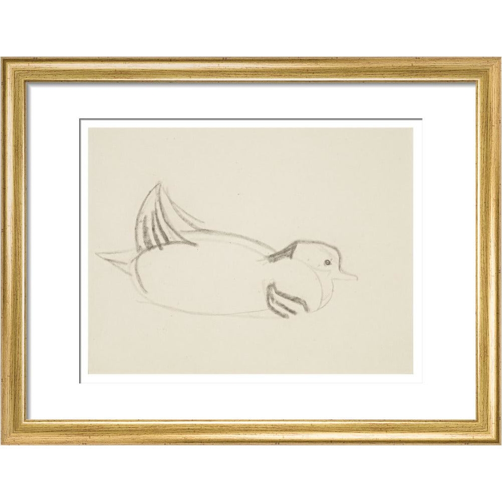 Duck - Art print