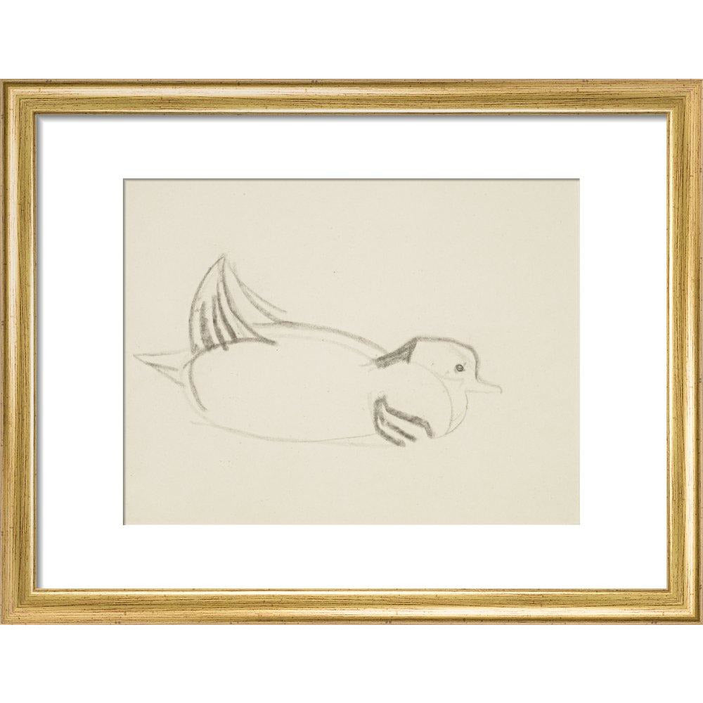 Duck - Art print