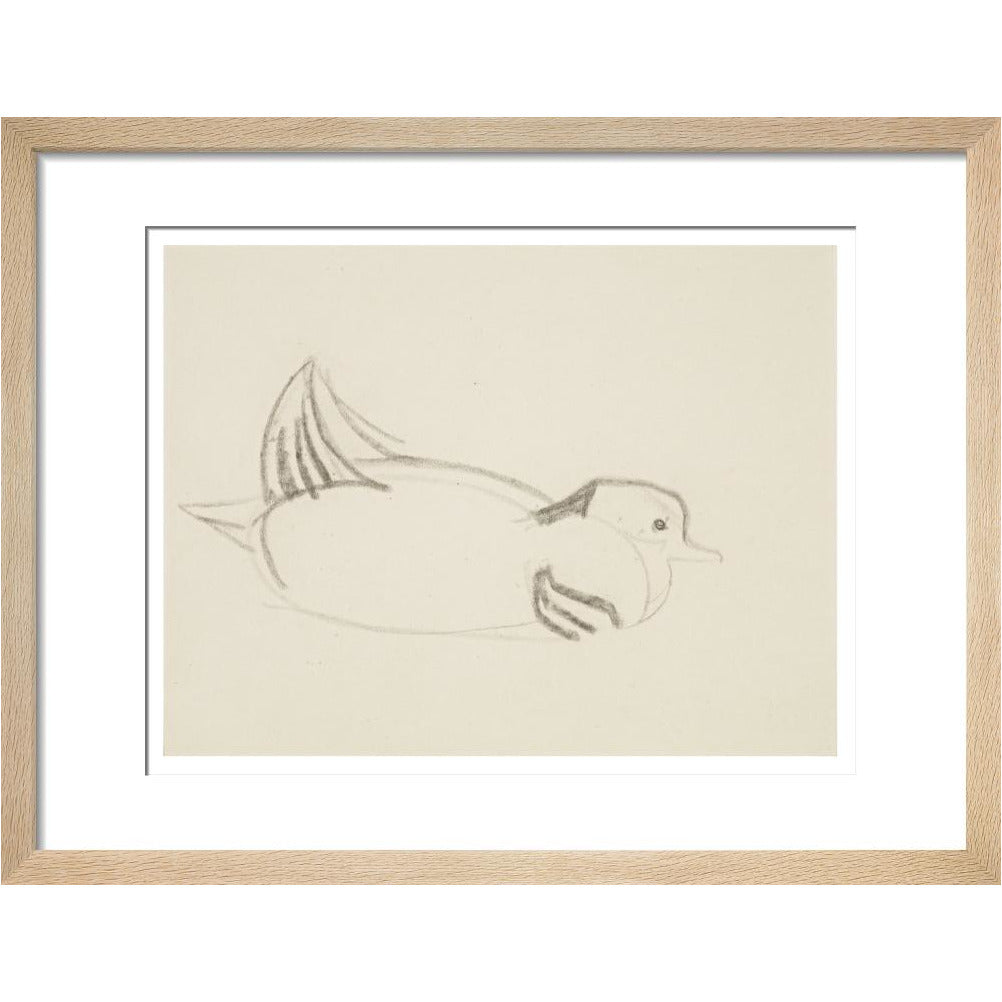 Duck - Art print