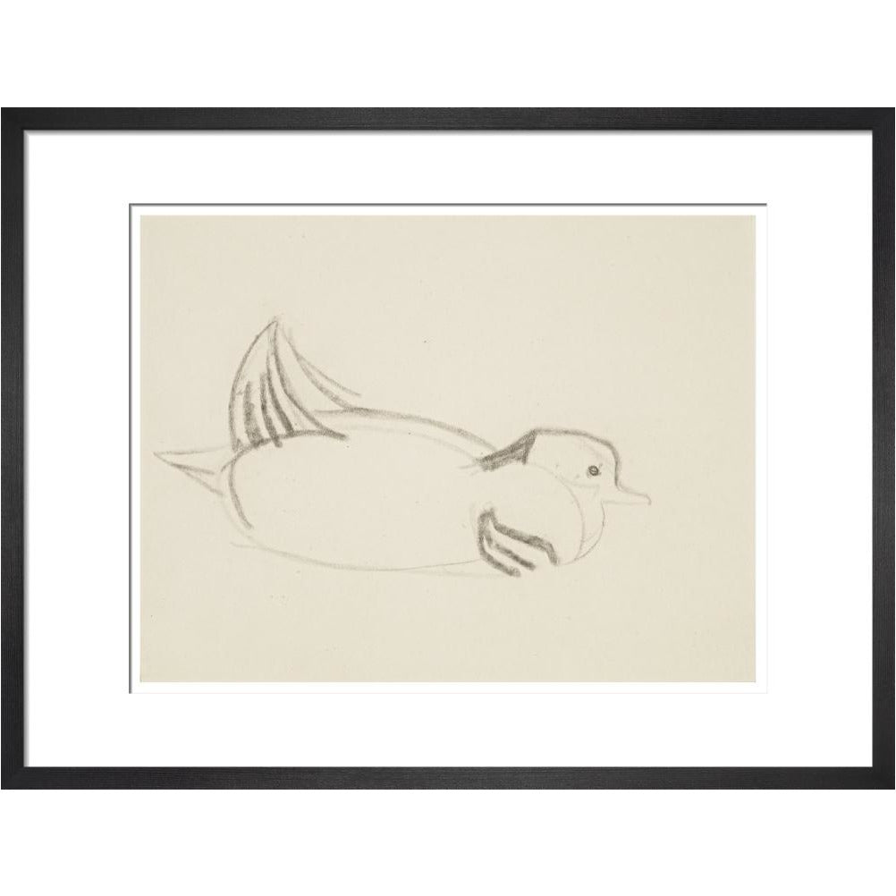 Duck - Art print