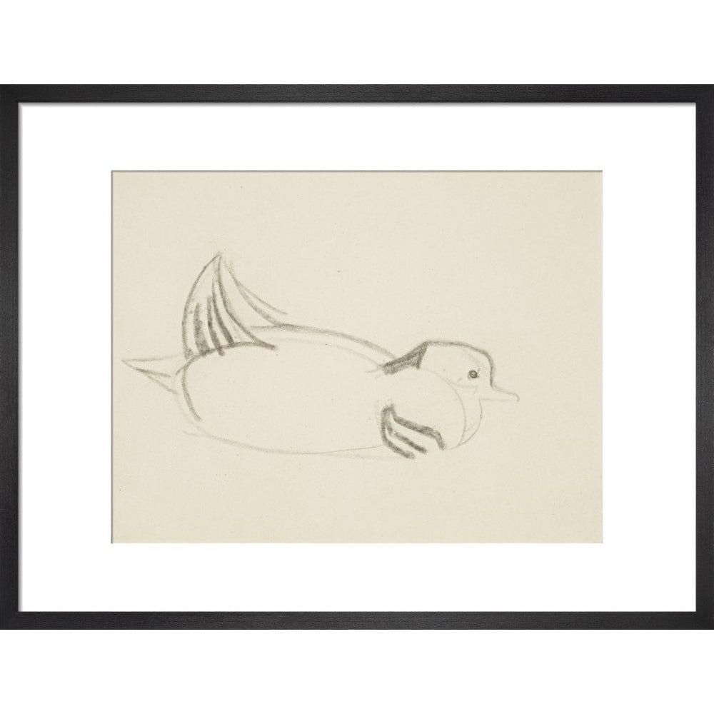 Duck - Art print