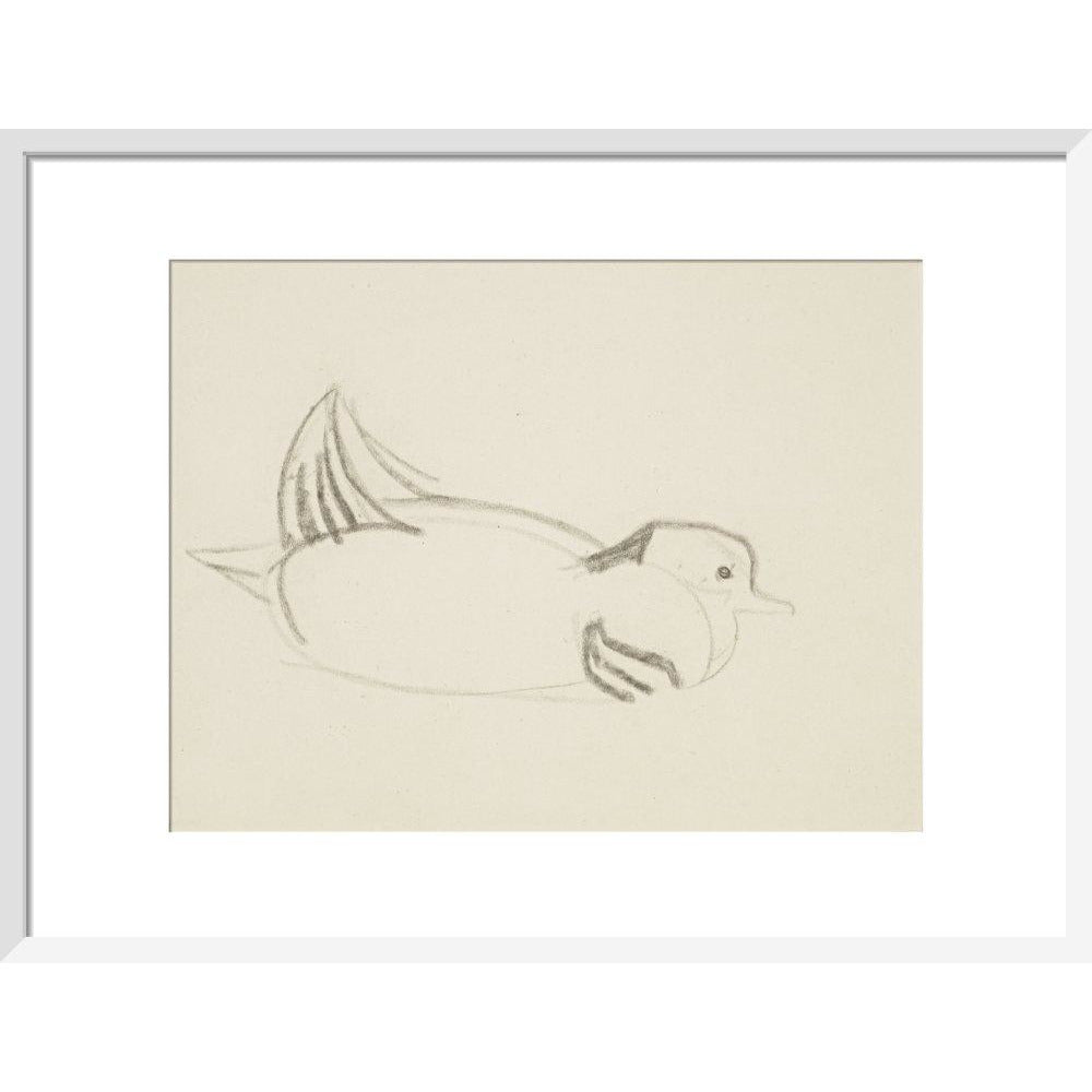 Duck - Art print