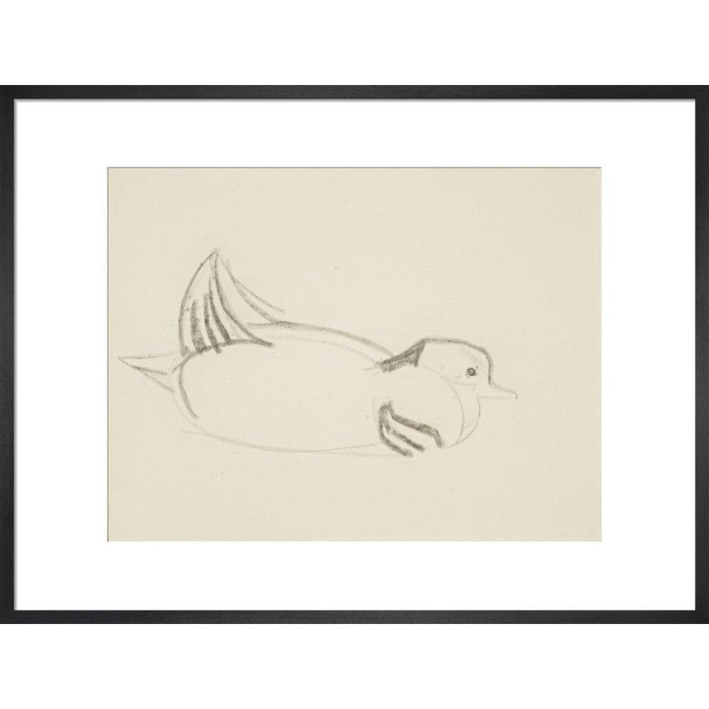 Duck - Art print