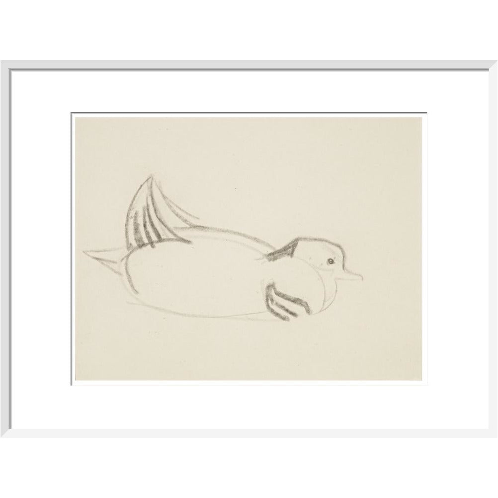 Duck - Art print
