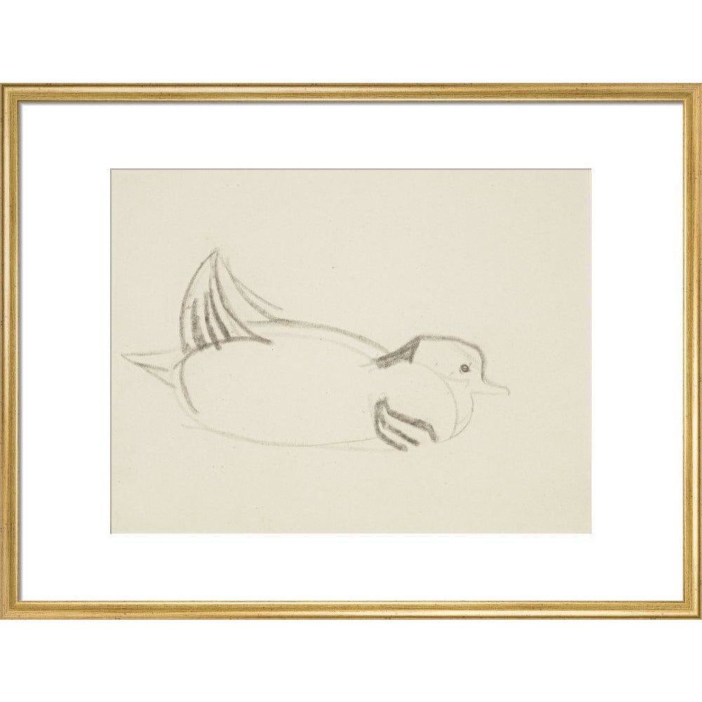 Duck - Art print