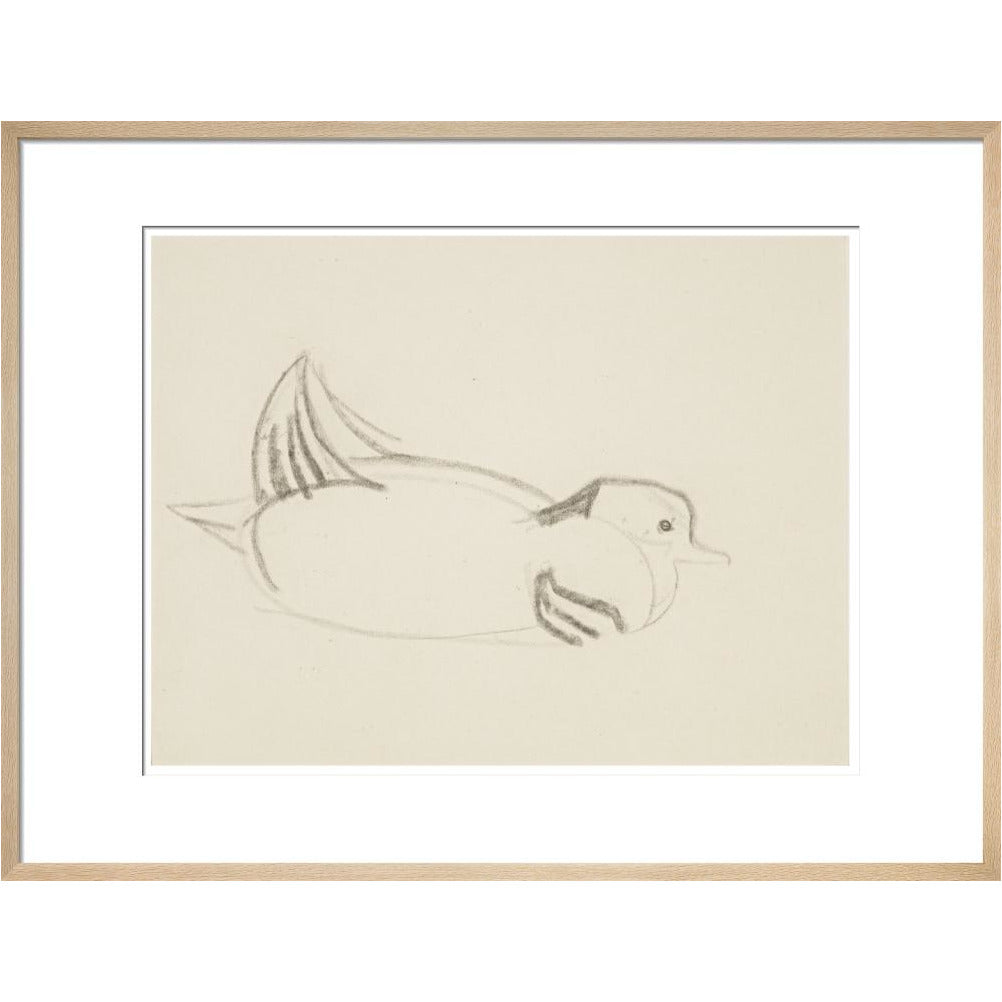 Duck - Art print