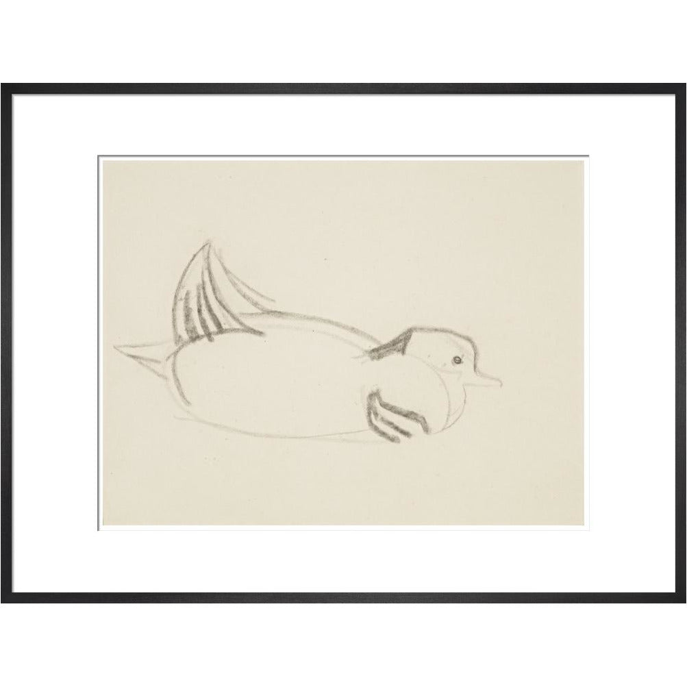 Duck - Art print