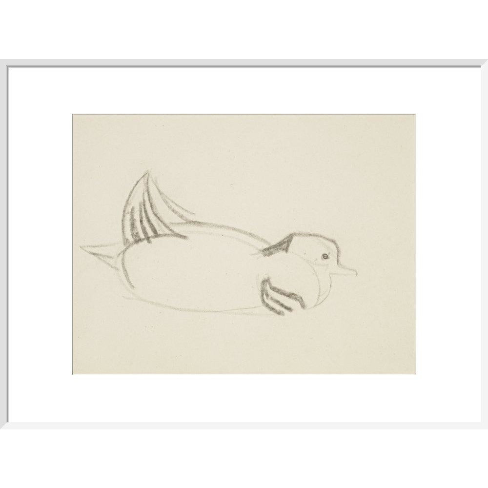 Duck - Art print