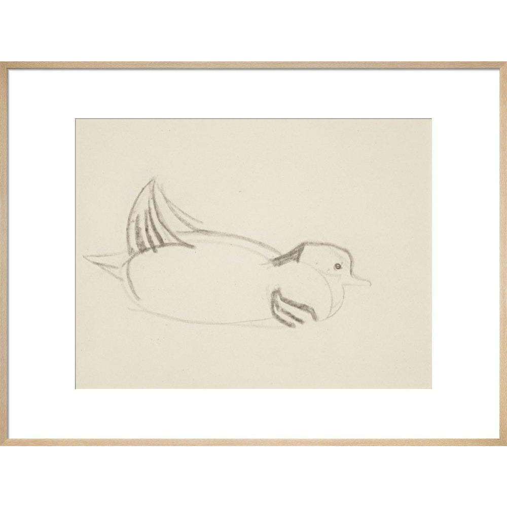 Duck - Art print