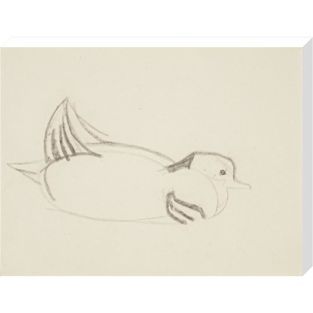Duck - Art print