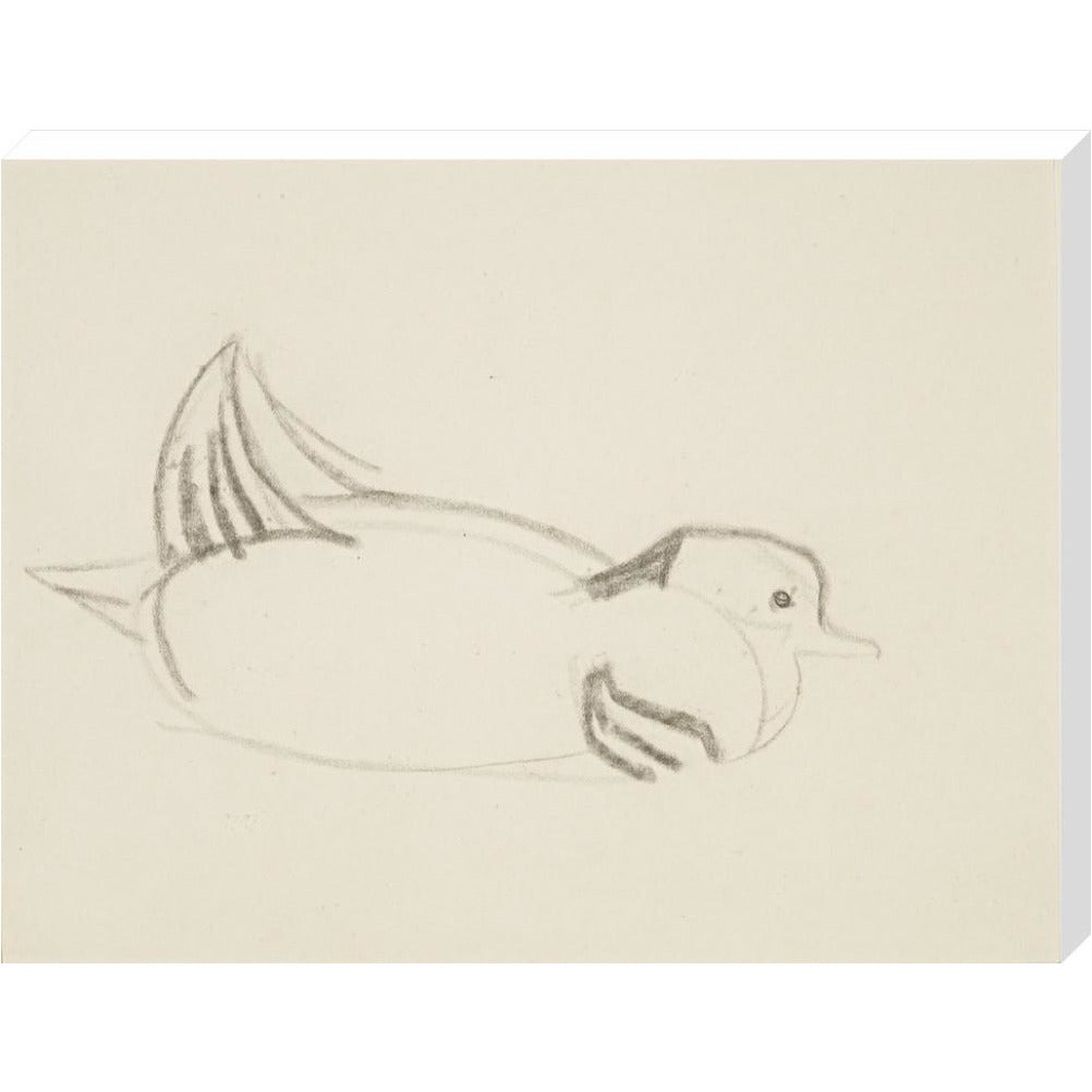 Duck - Art print