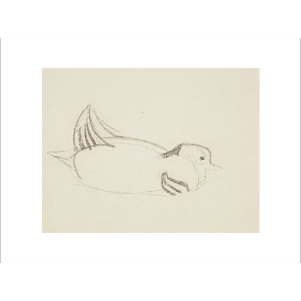 Duck - Art print
