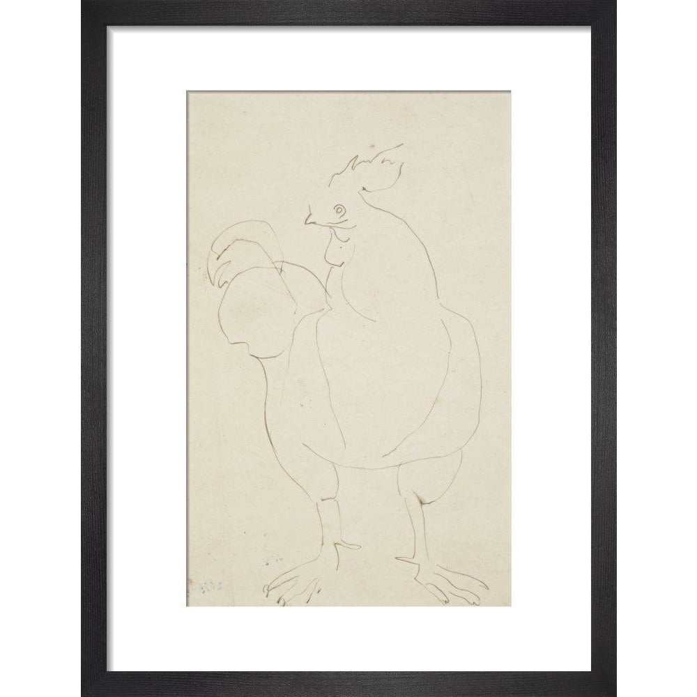 Cock - Art print