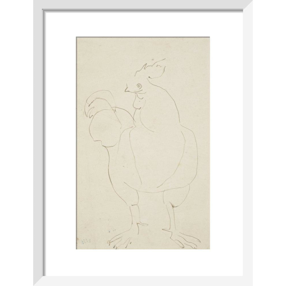 Cock - Art print
