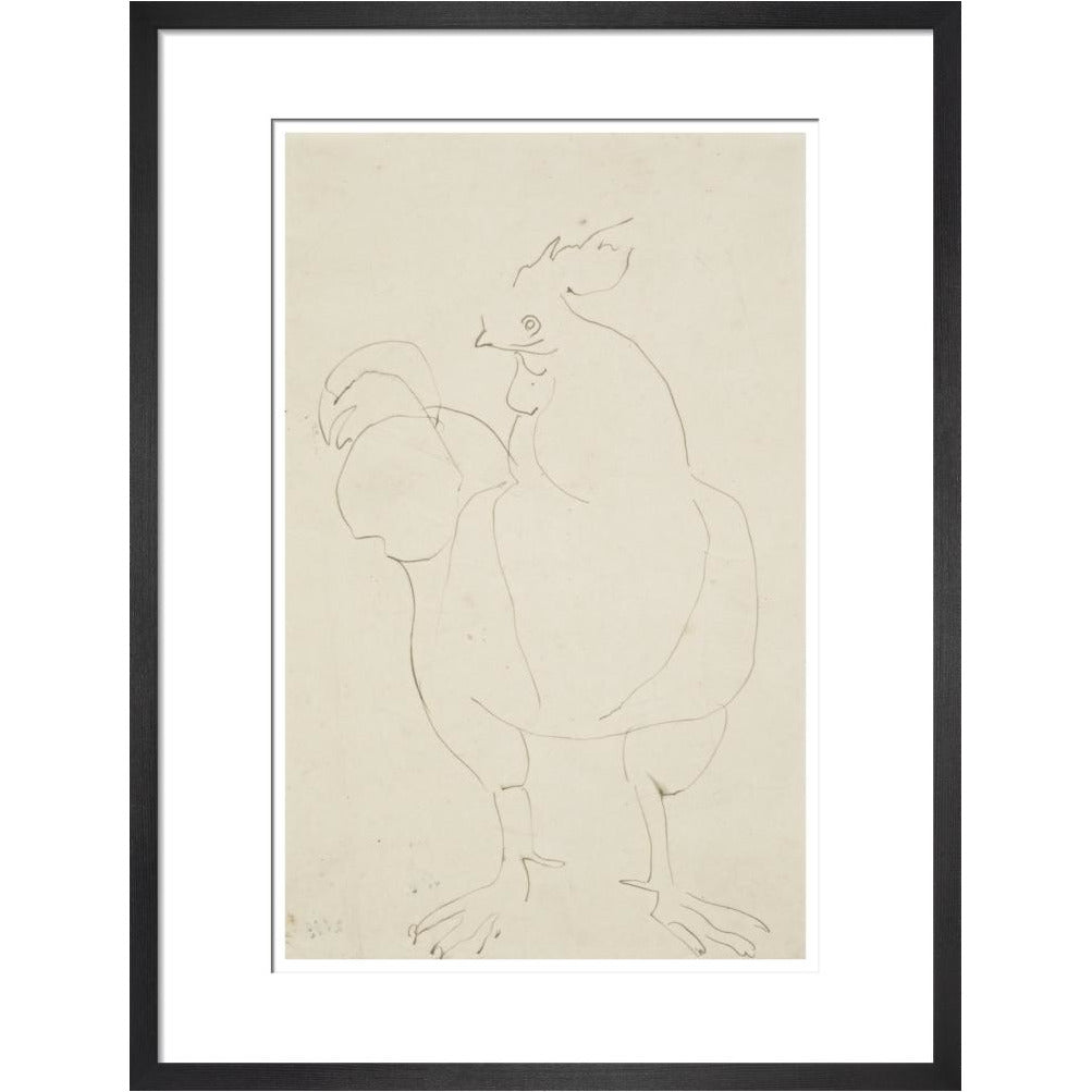 Cock - Art print