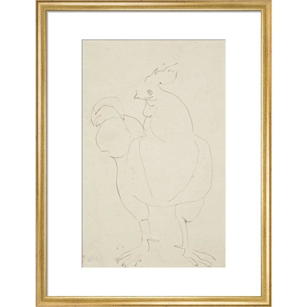 Cock - Art print