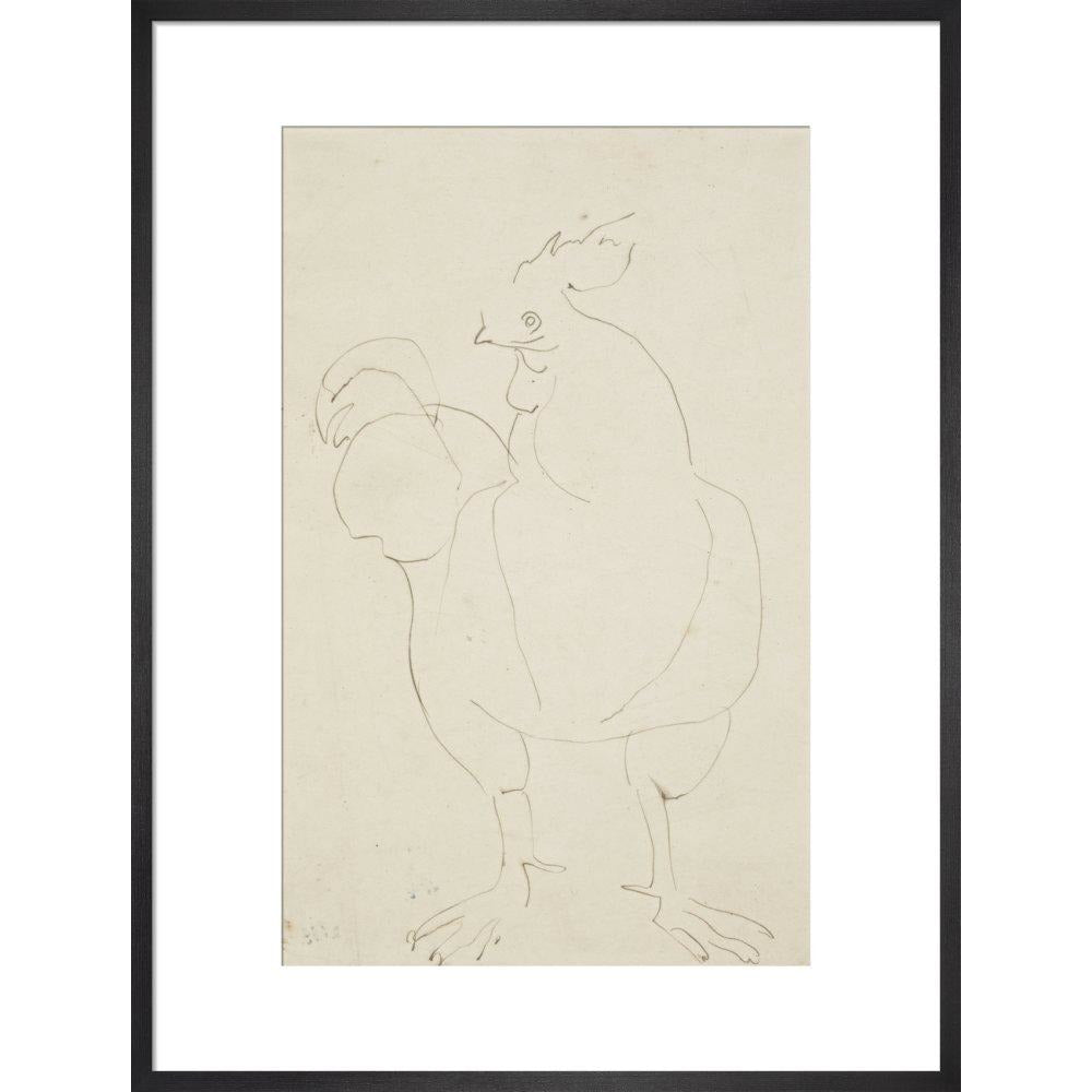 Cock - Art print