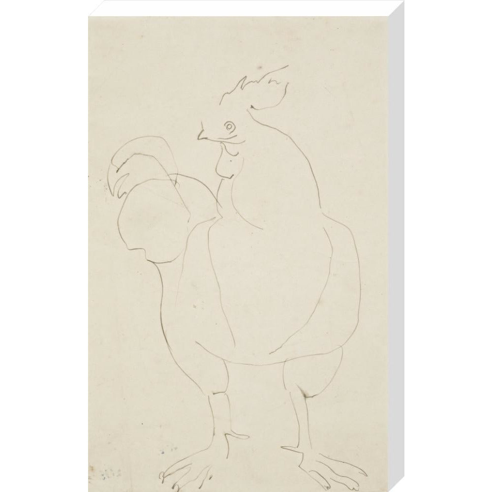 Cock - Art print