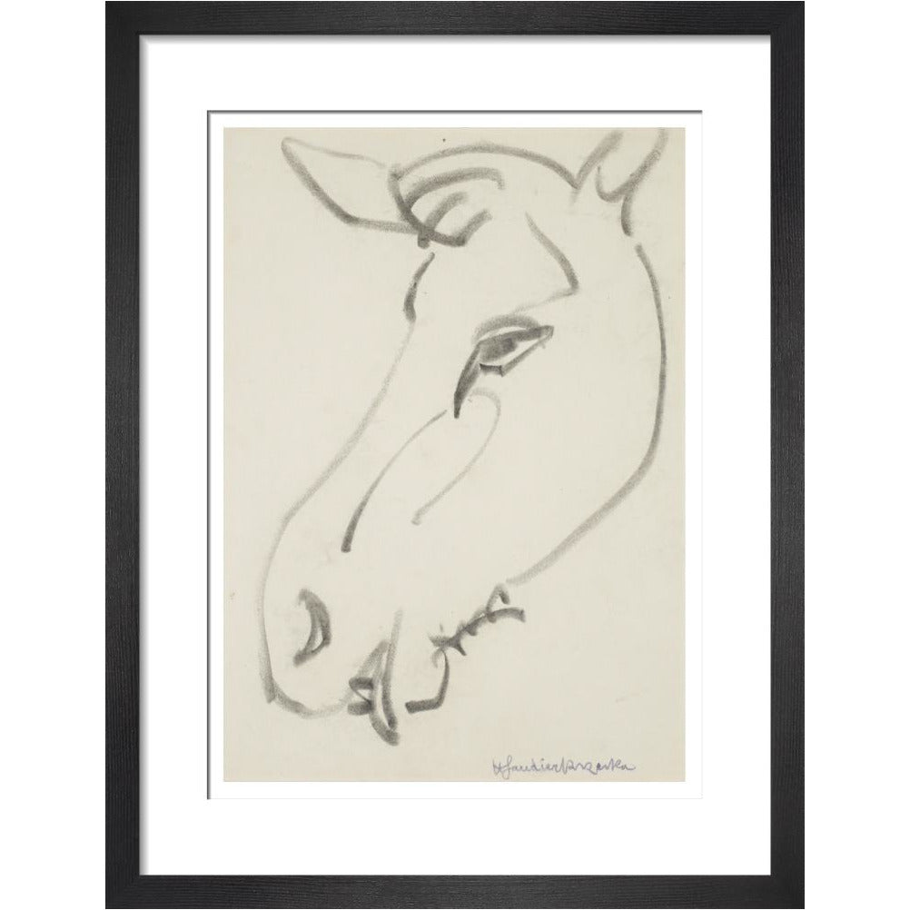 Head of a horse - Art print
