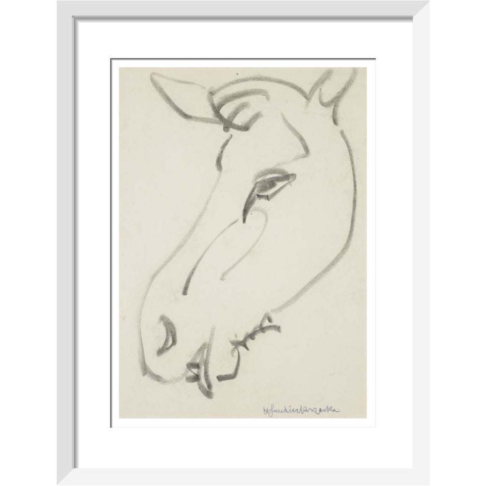 Head of a horse - Art print