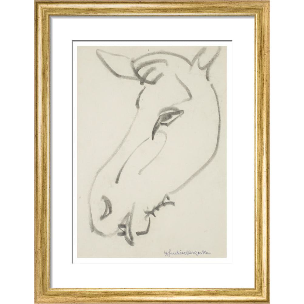 Head of a horse - Art print