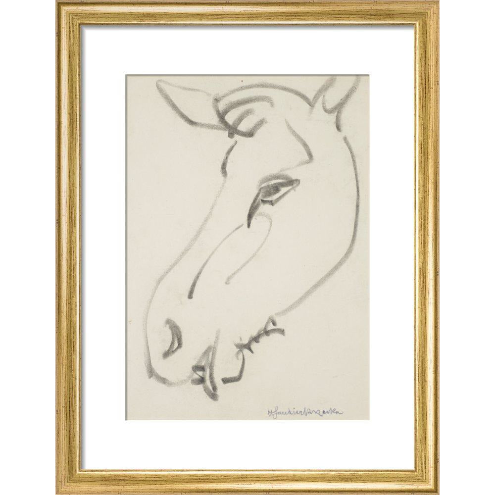 Head of a horse - Art print
