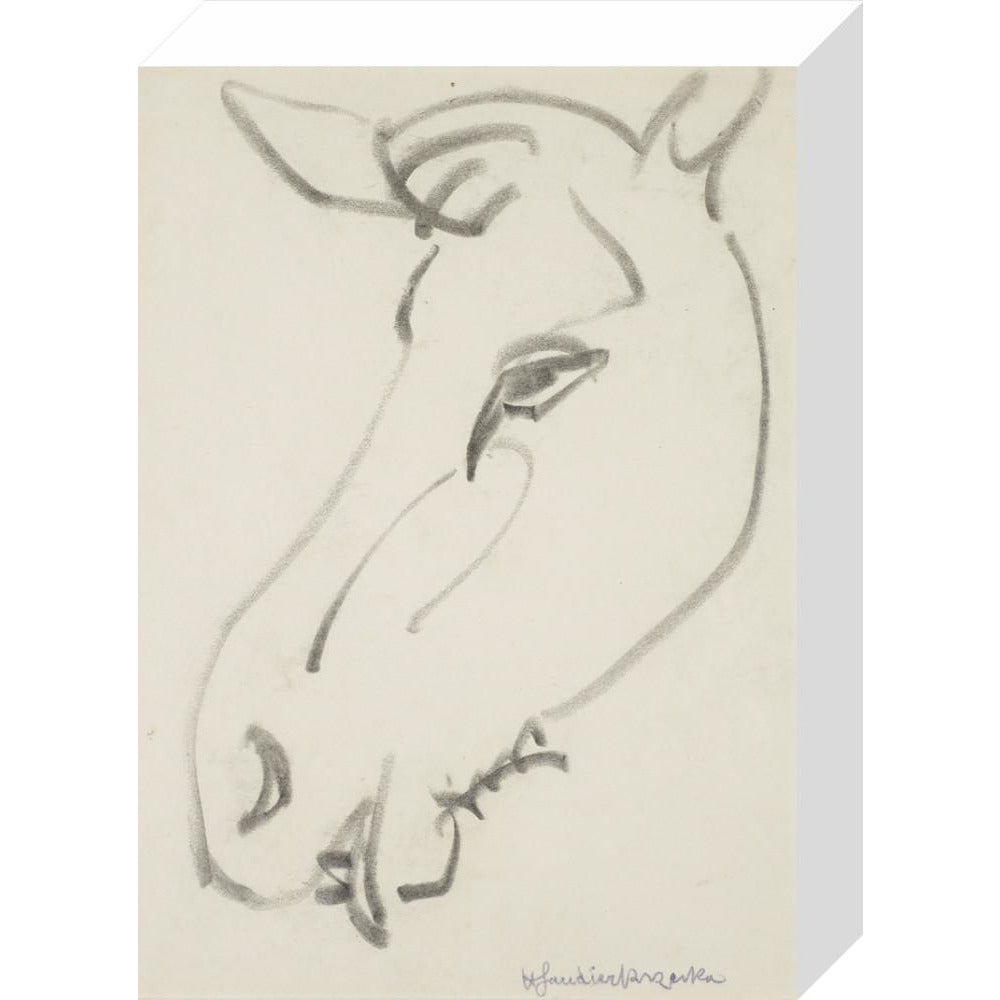 Head of a horse - Art print