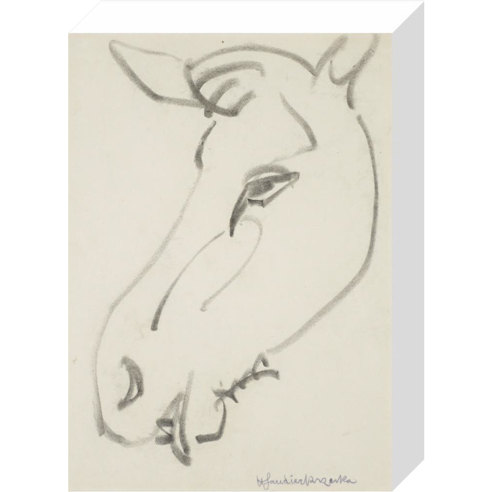 Head of a horse - Art print