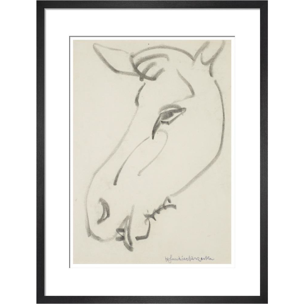 Head of a horse - Art print