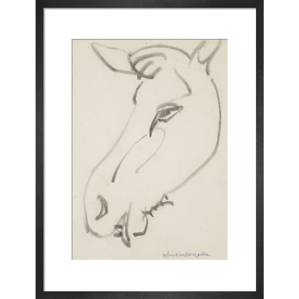 Head of a horse - Art print