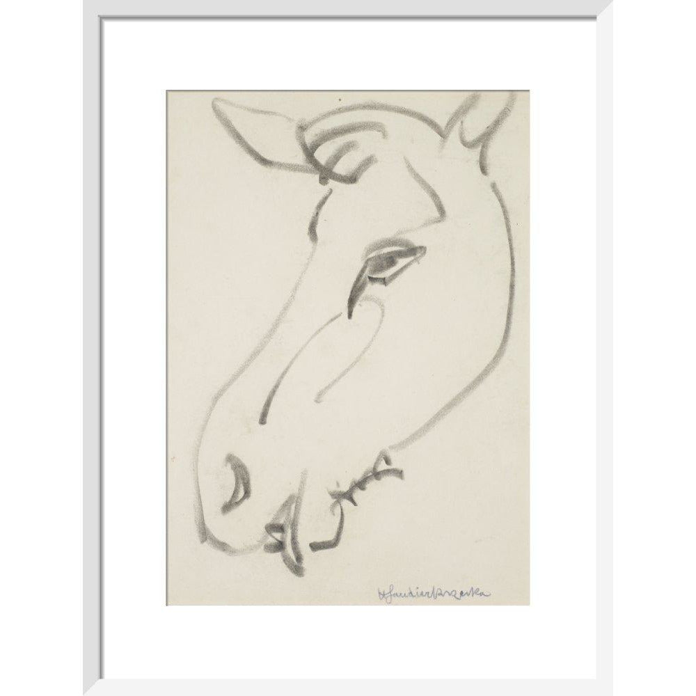 Head of a horse - Art print